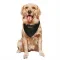 Black Atlanta Falcons Justin Simmons   Service Dog & Cat Pet Bandana